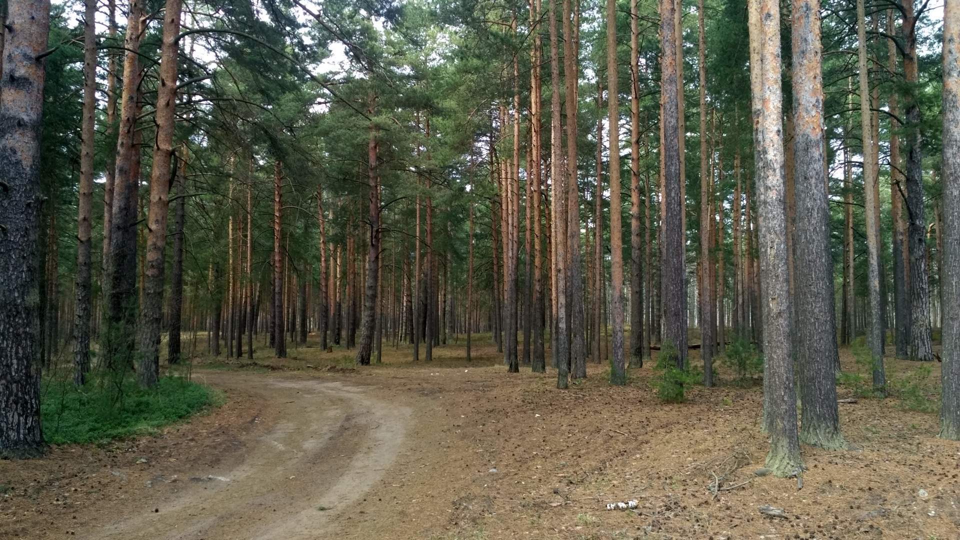 Продам земельный участок 1741 м.кв.