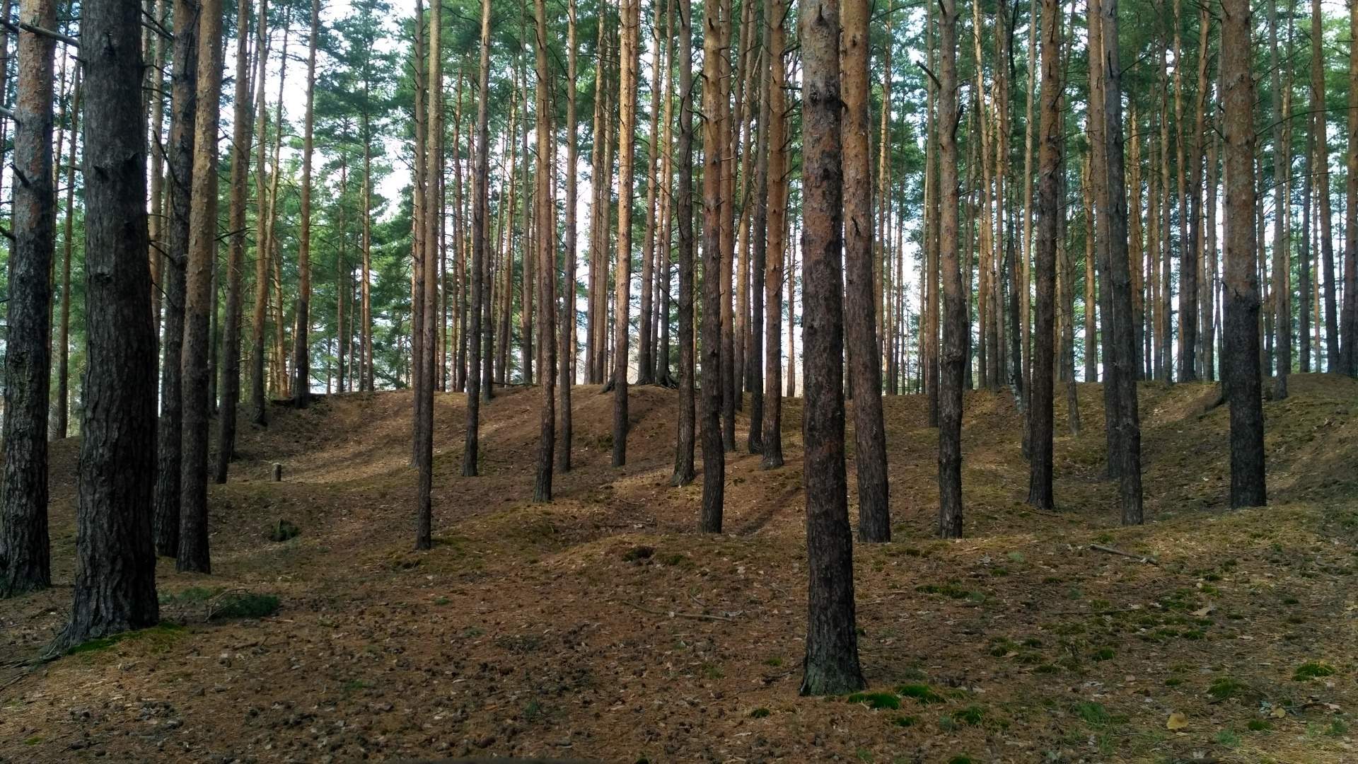 Продам земельный участок 1741 м.кв.