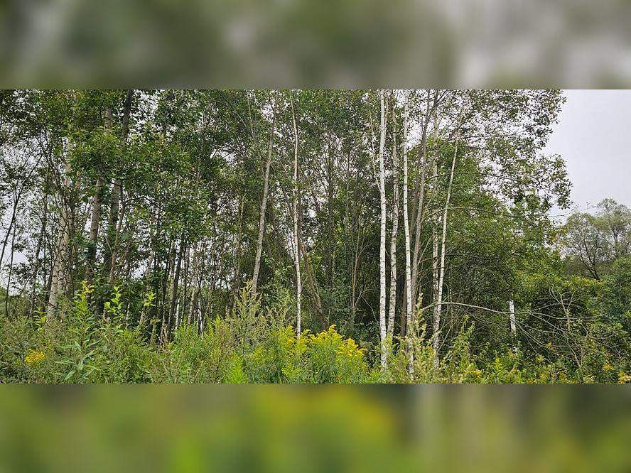 Продам земельный участок 786 м.кв.