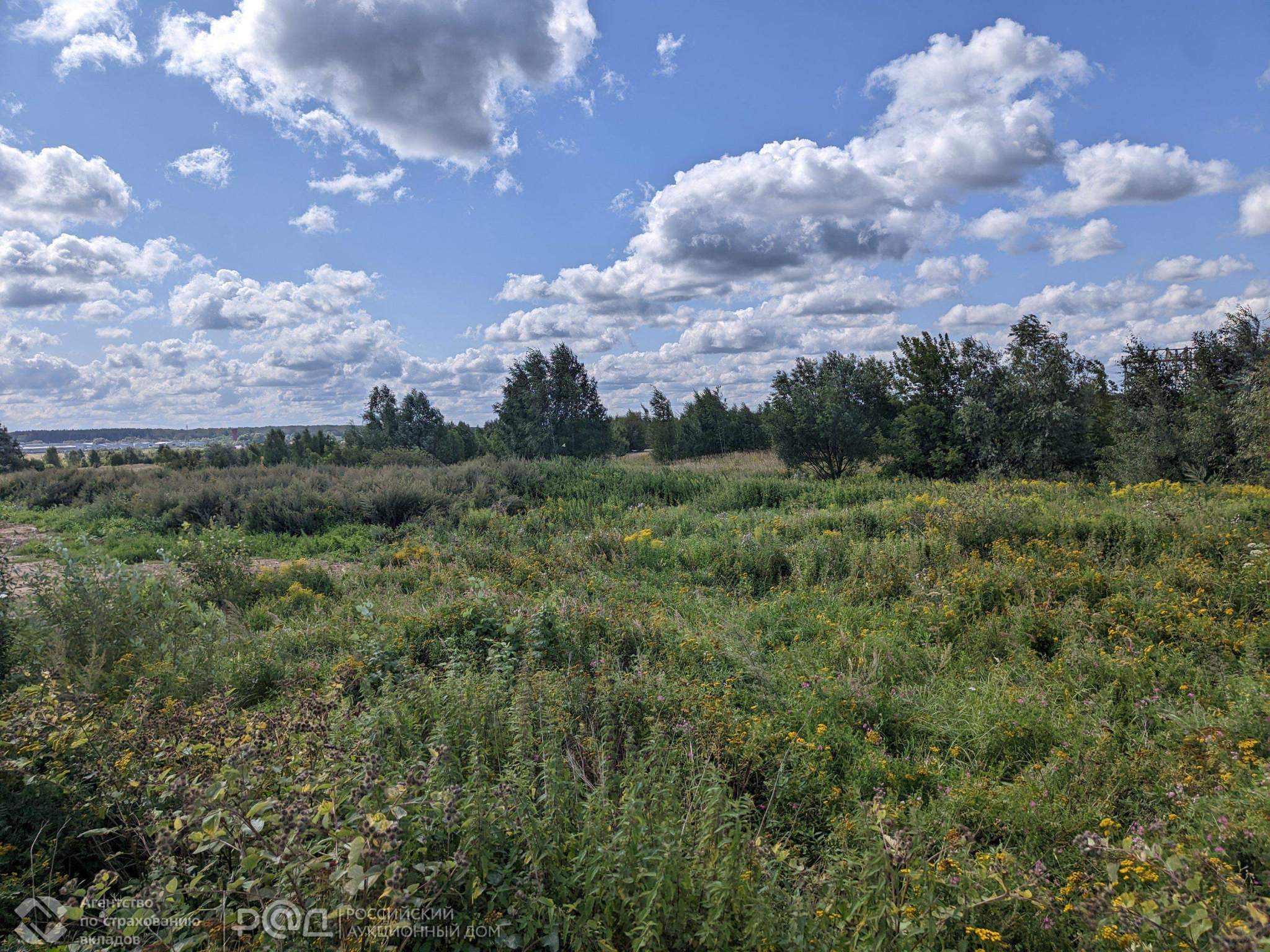 Продам земельный участок 73632 м.кв.