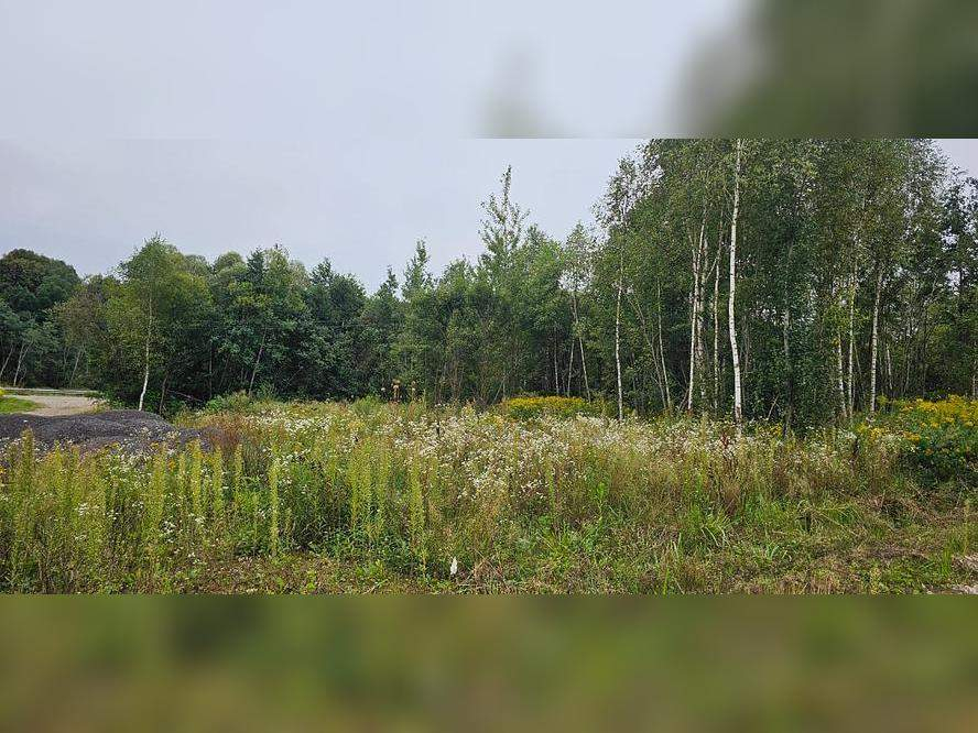 Продам земельный участок 786 м.кв.