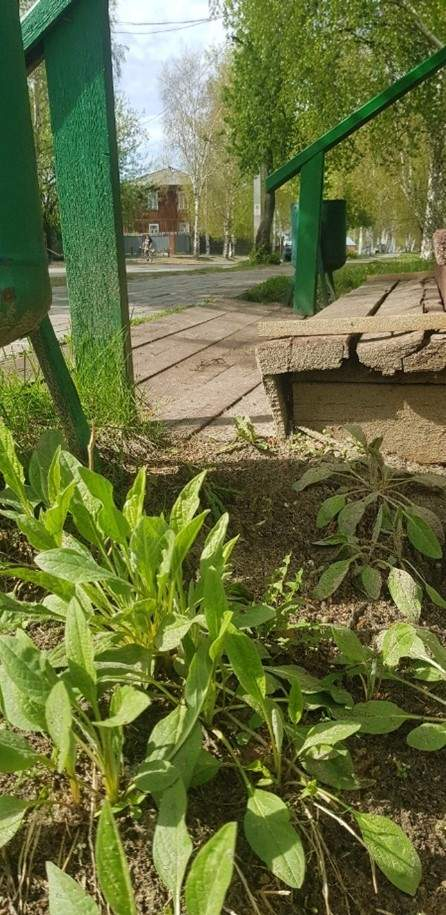 Продам офис 357.6 м.кв.