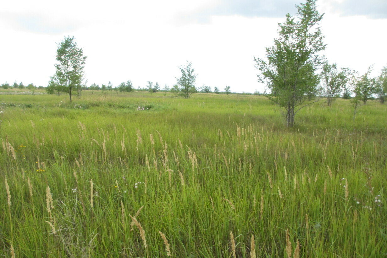 Участок на продажу в Тольятте, Южное шоссе фото №4