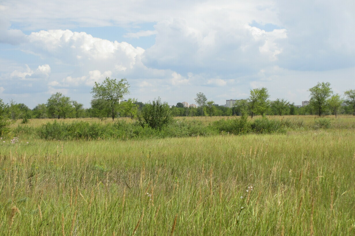 Участок на продажу в Тольятте, Южное шоссе фото №10