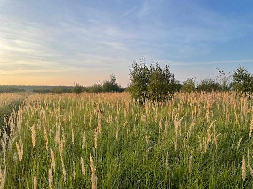 Продам земельный участок 850 м.кв.