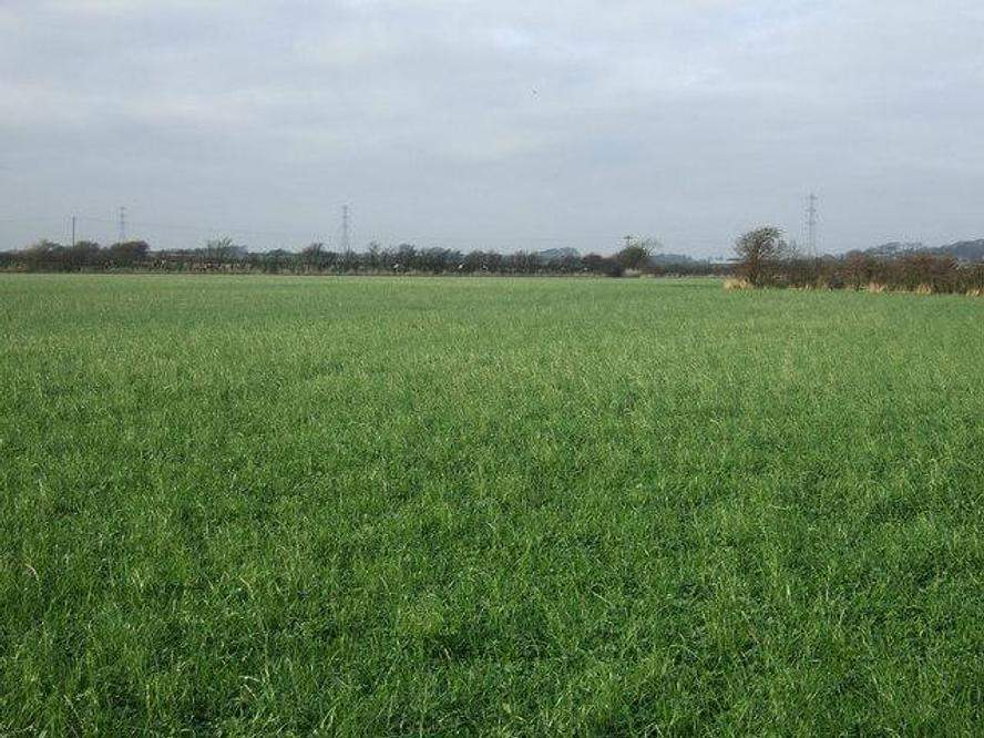 Продам земельный участок 1200 м.кв.