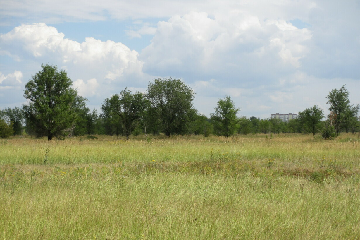 Участок на продажу в Тольятте, Южное шоссе фото №9