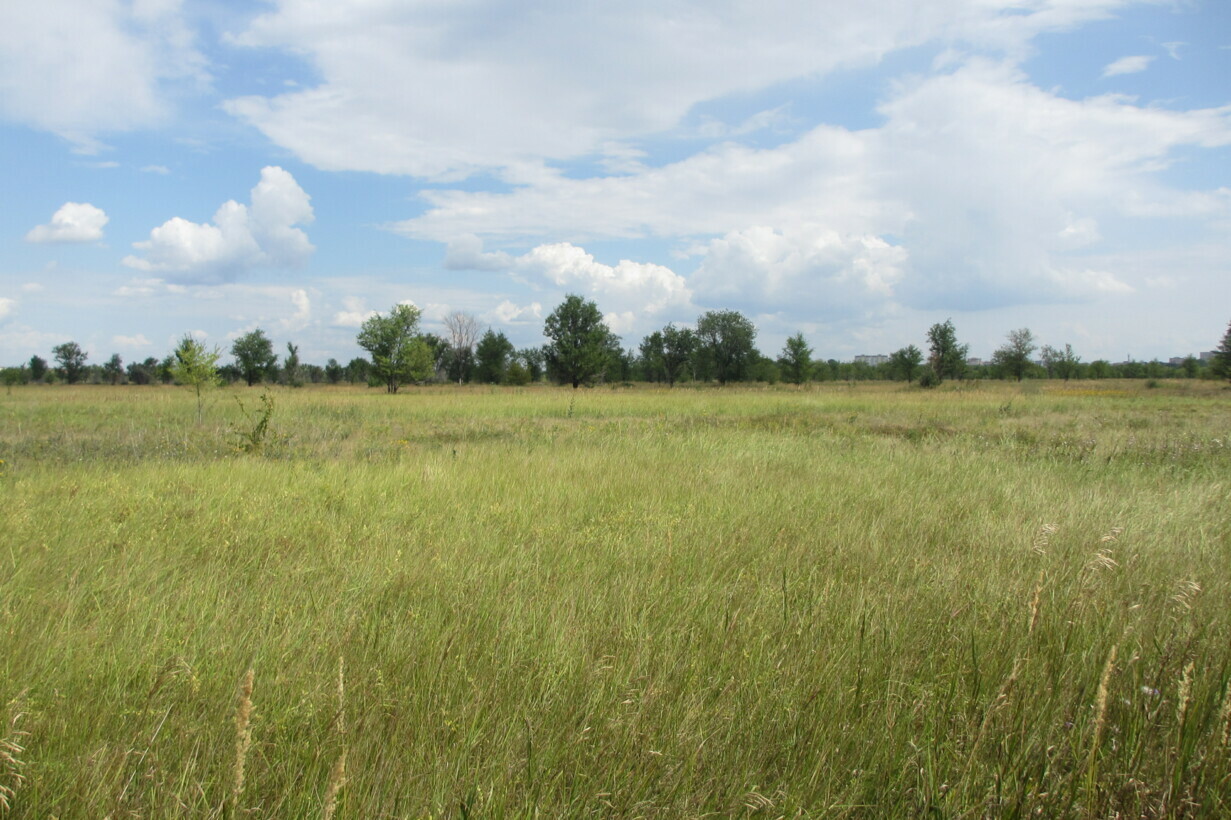 Участок на продажу в Тольятте, Южное шоссе фото №0