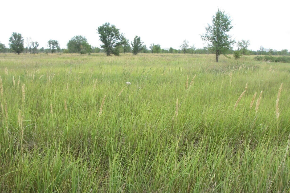 Участок на продажу в Тольятте, Южное шоссе фото №5