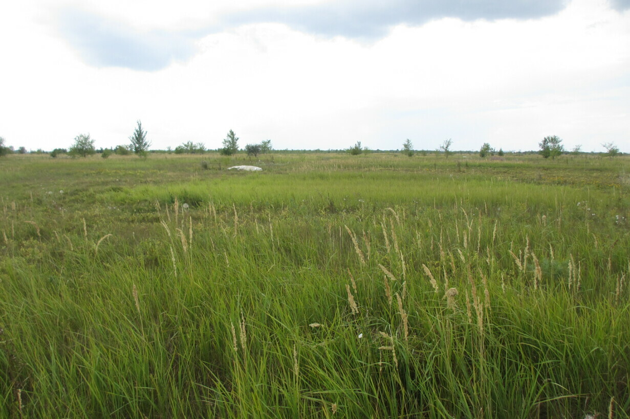 Участок на продажу в Тольятте, Южное шоссе фото №6