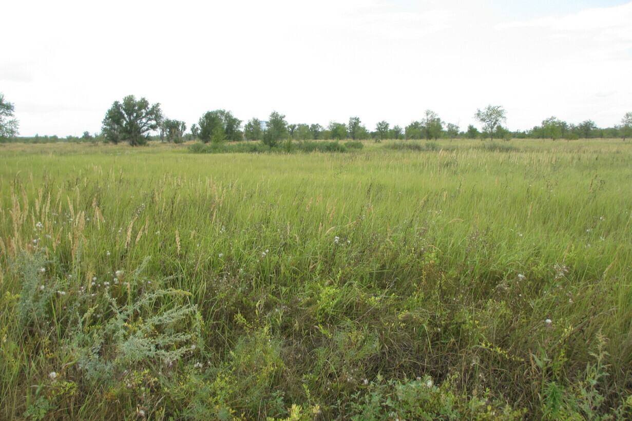 Участок на продажу в Тольятте, Южное шоссе фото №1