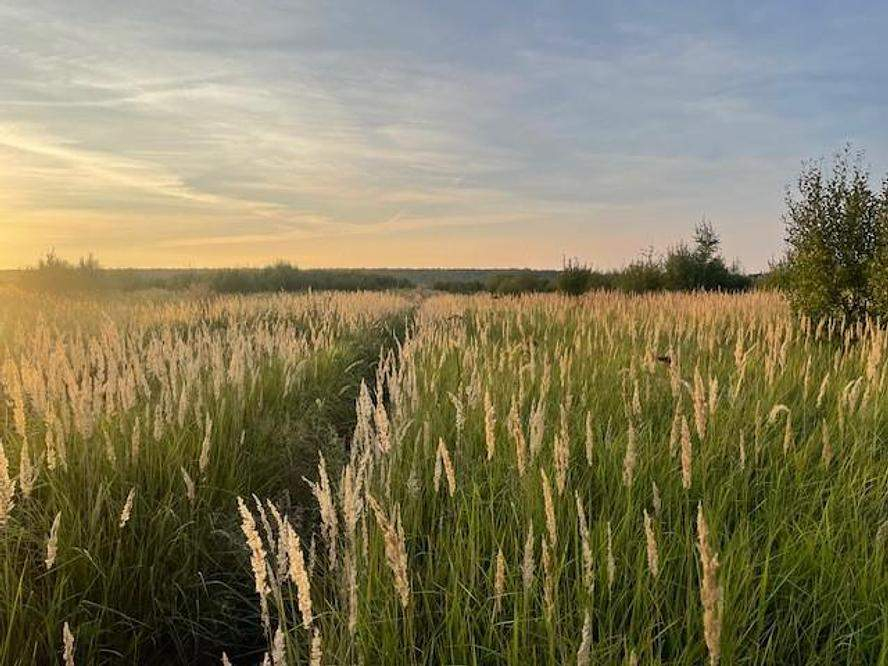 Продам земельный участок 850 м.кв.