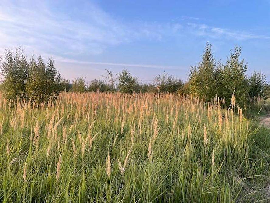 Продам земельный участок 850 м.кв.