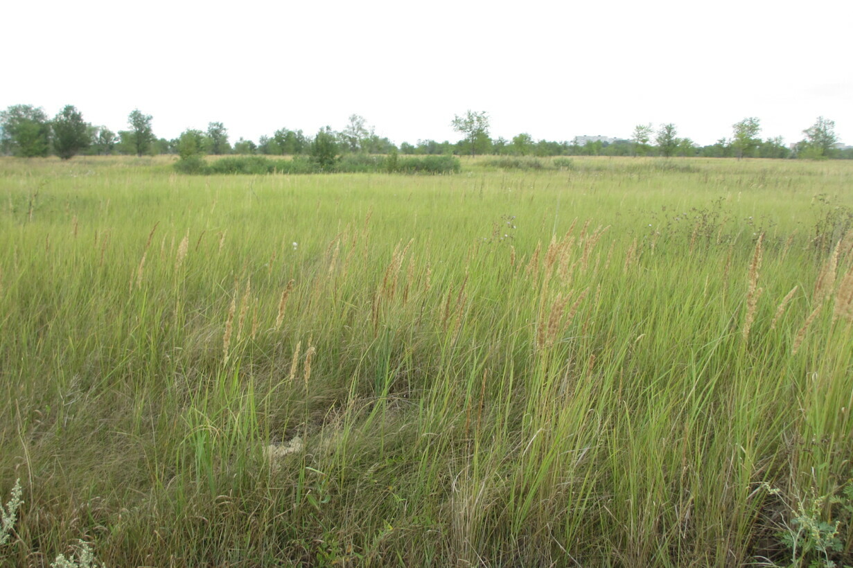 Участок на продажу в Тольятте, Южное шоссе фото №2