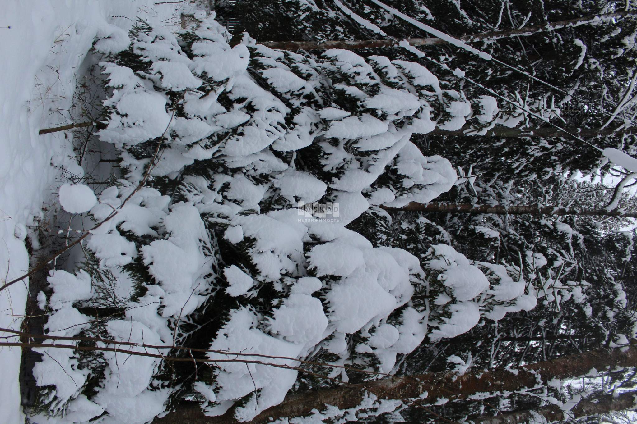 Продам земельный участок 2500 м.кв.