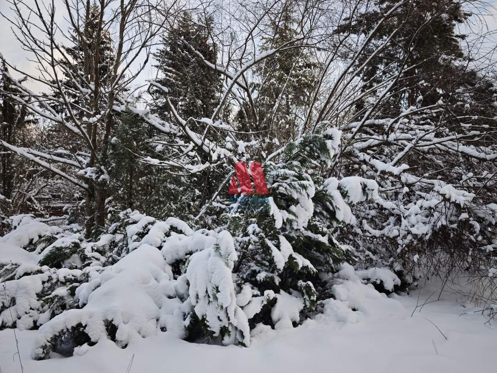 Коттедж на продажу в Бухарово, Лесная улица, 4 фото №17