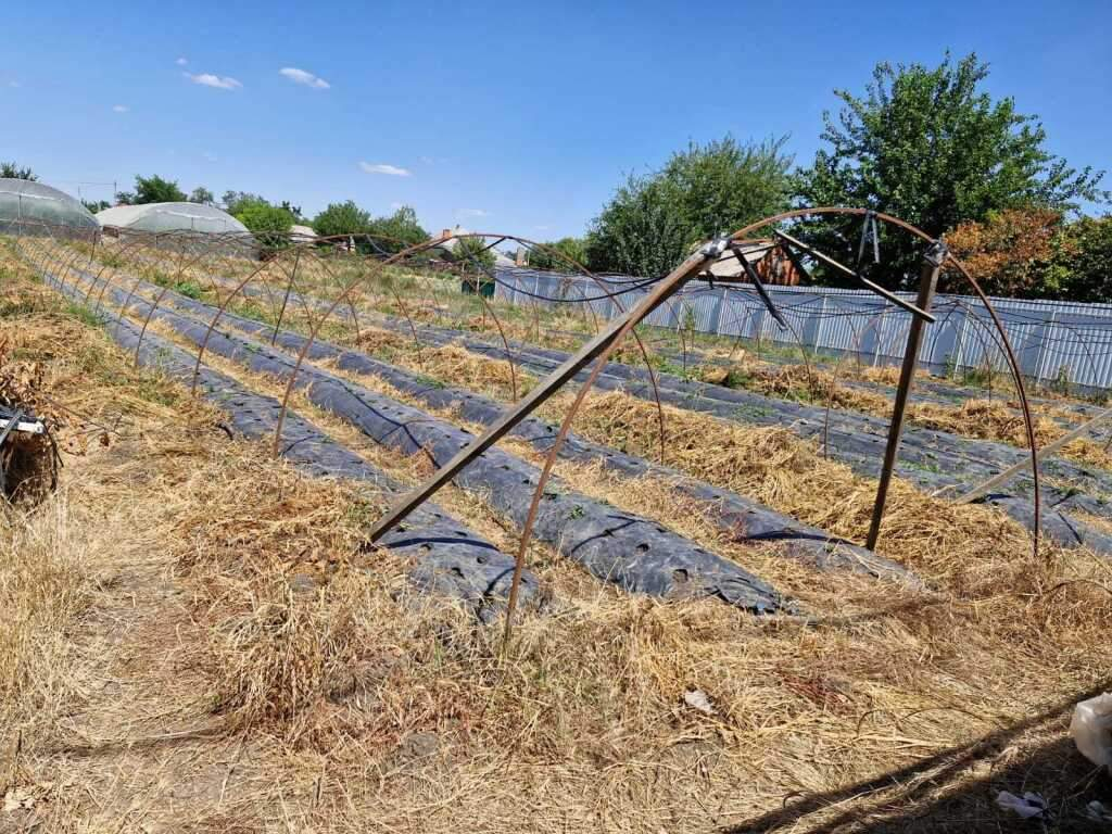 Продам земельный участок 2323 м.кв.