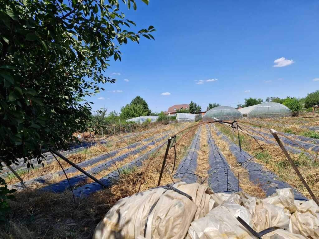 Продам земельный участок 2323 м.кв.