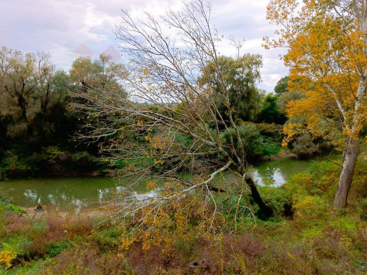 Продам земельный участок 16342 м.кв.