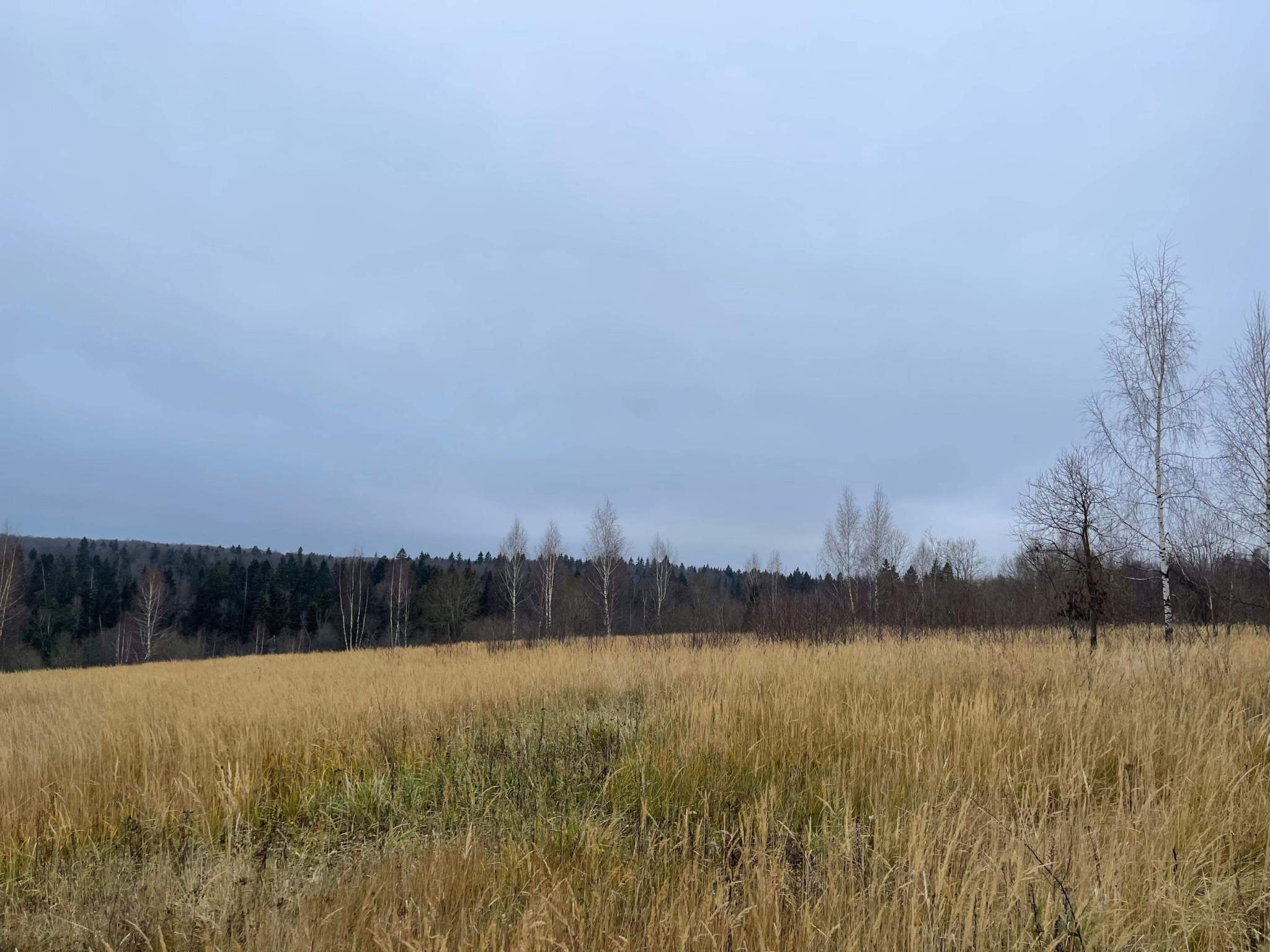 Продам земельный участок 485959 м.кв.