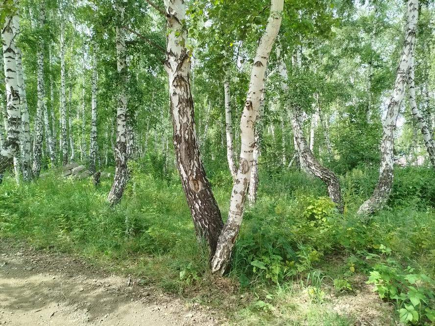 Продам земельный участок 825 м.кв.