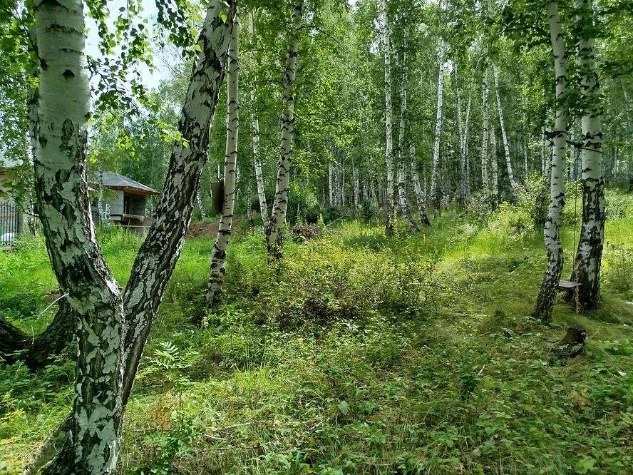 Продам земельный участок 825 м.кв.