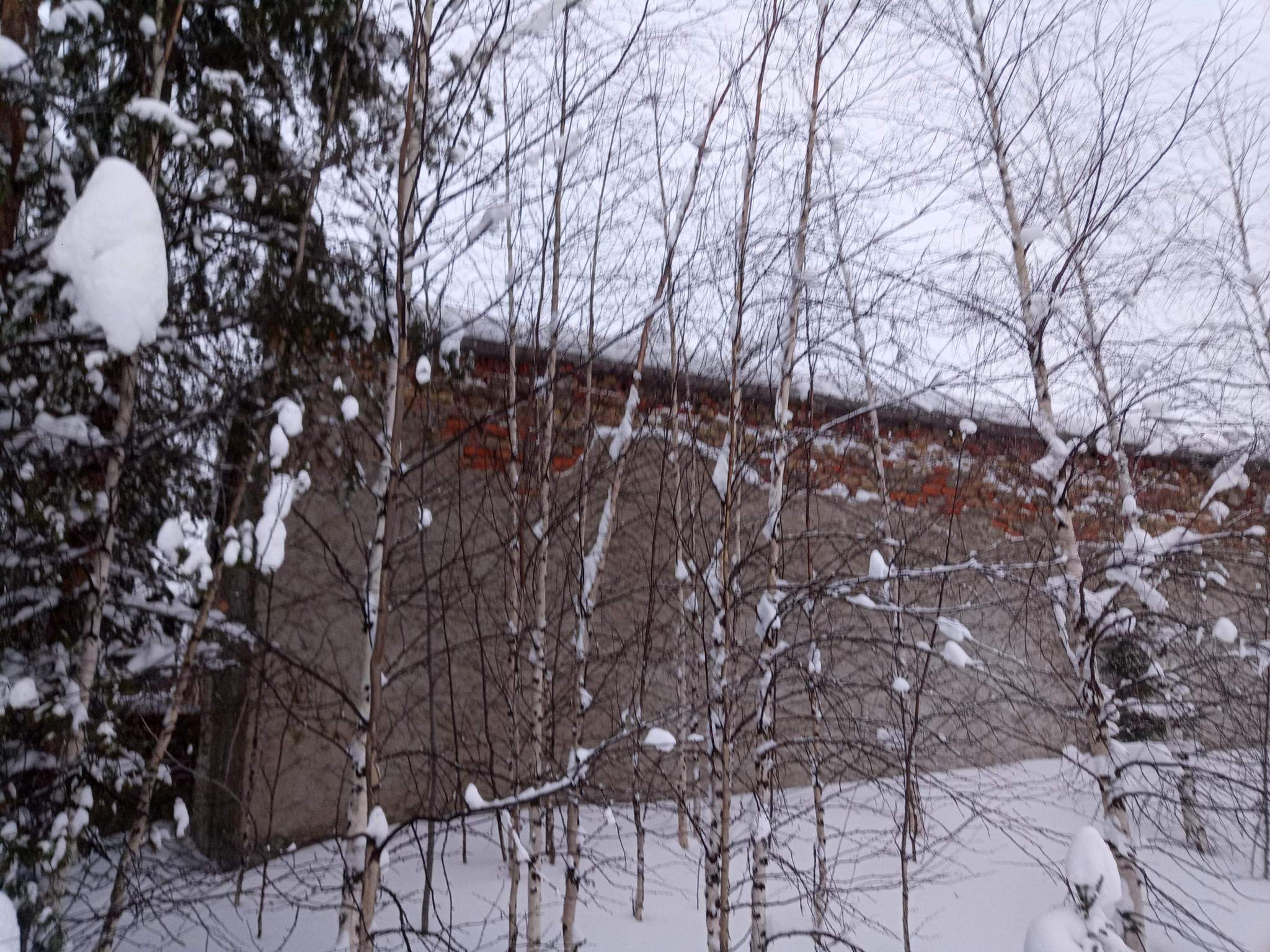 Продам торговое помещение 734.6 м.кв.