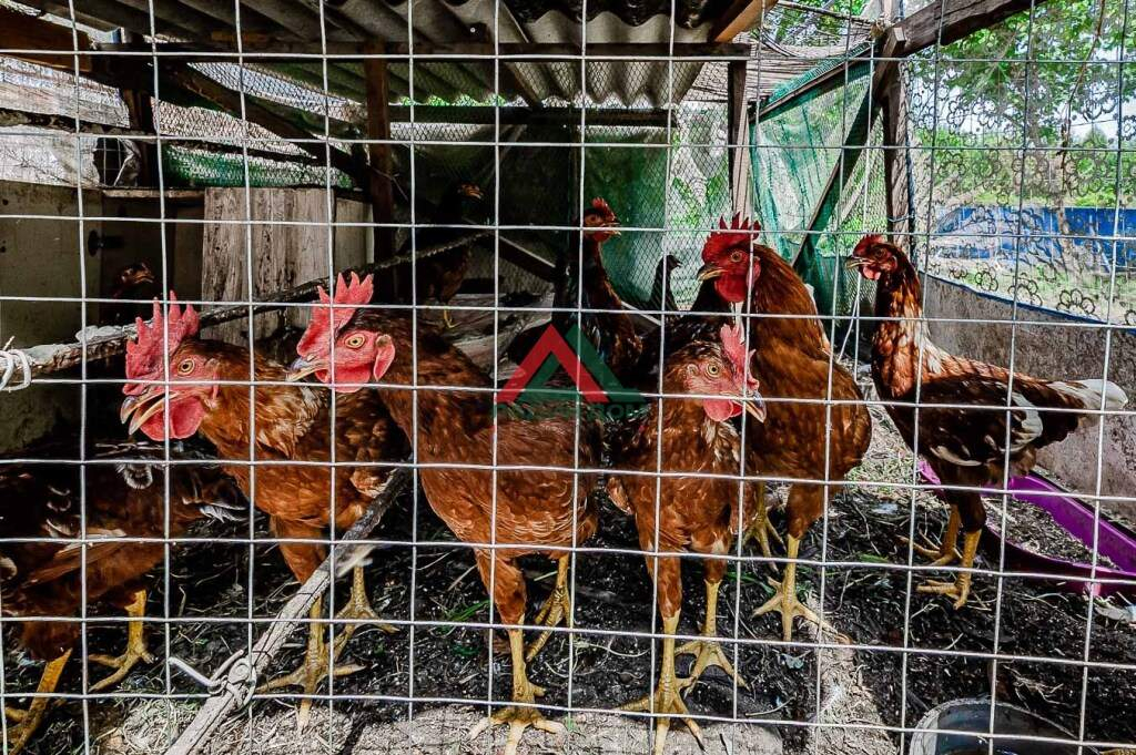 Дом на продажу в Динской, Короткая улица, 10А фото №23