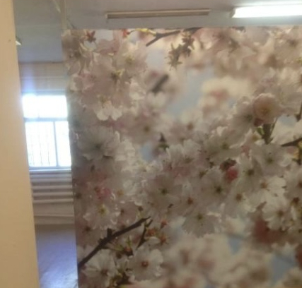 Продам помещение свободного назначения 240.5 м.кв.