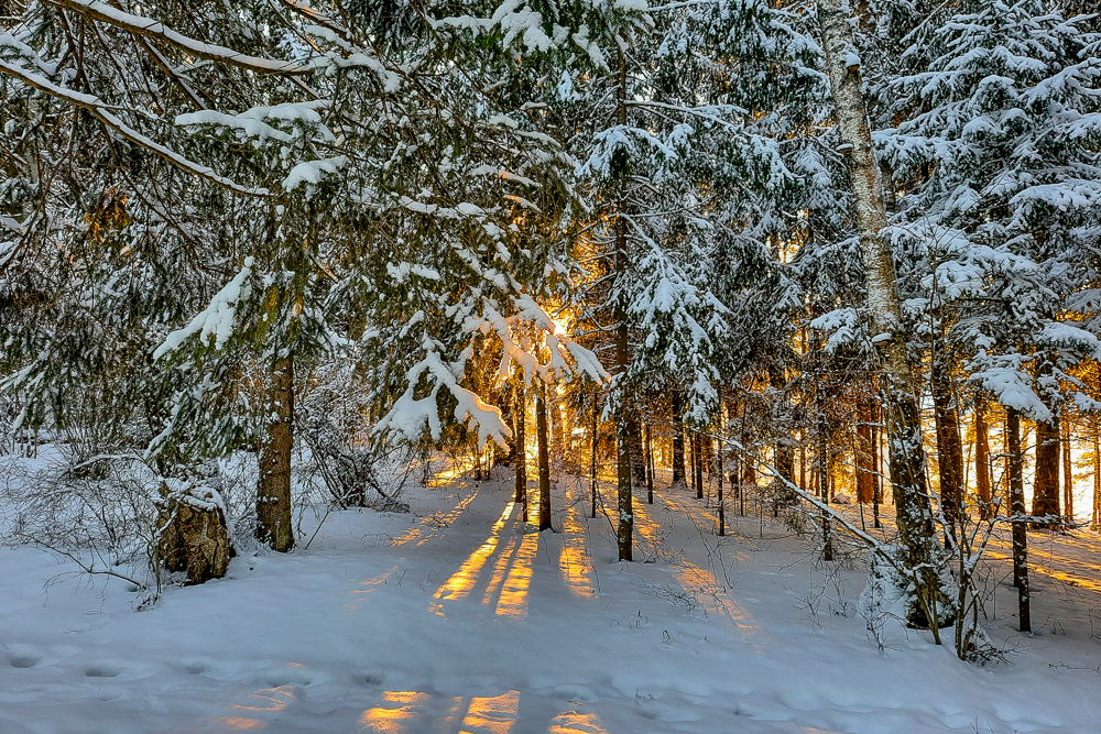 Продам земельный участок 1000 м.кв.