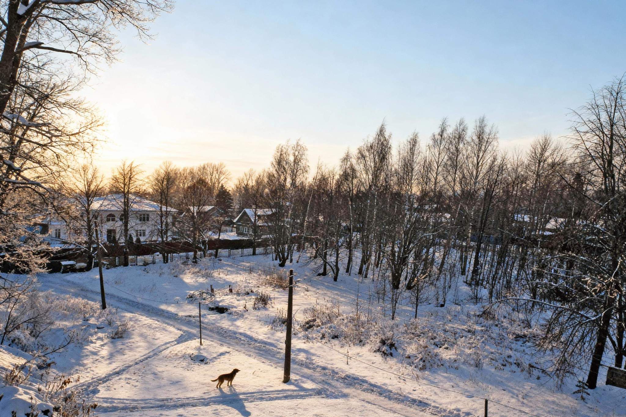 Продам торговое помещение 909.2 м.кв.