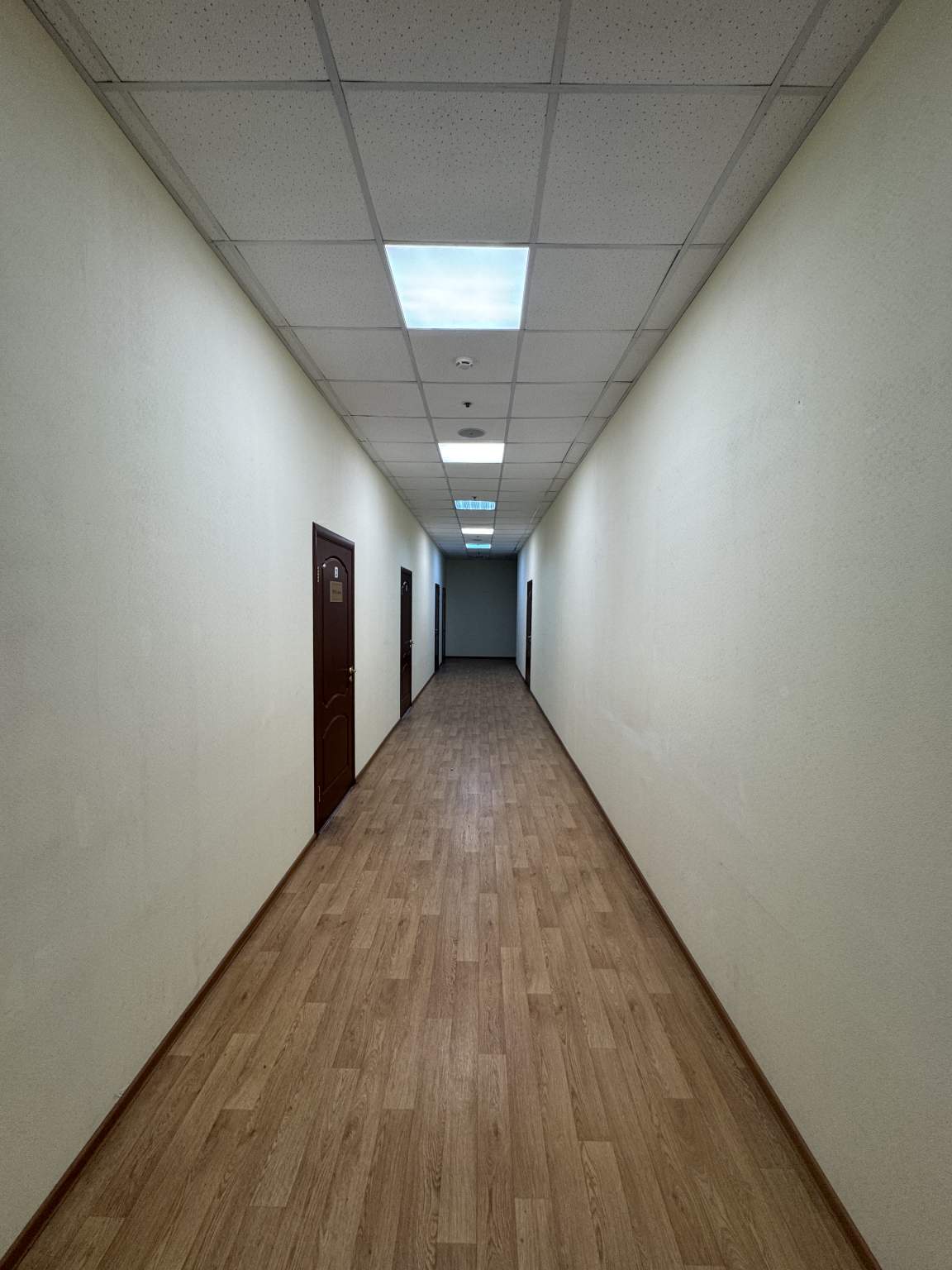 Сдам в аренду офис 23.8 м.кв.