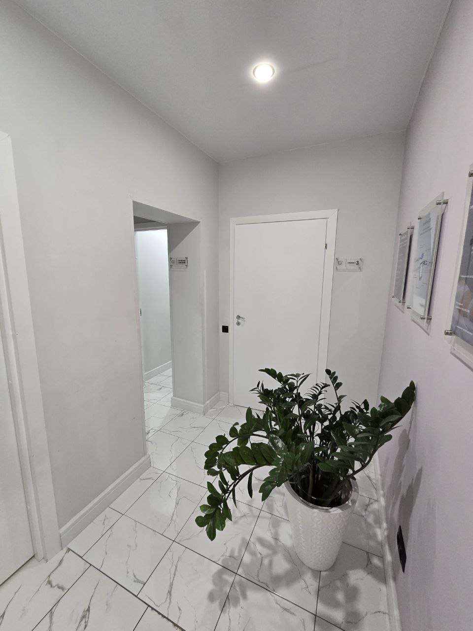 Сдам в аренду помещение свободного назначения 88 м.кв.