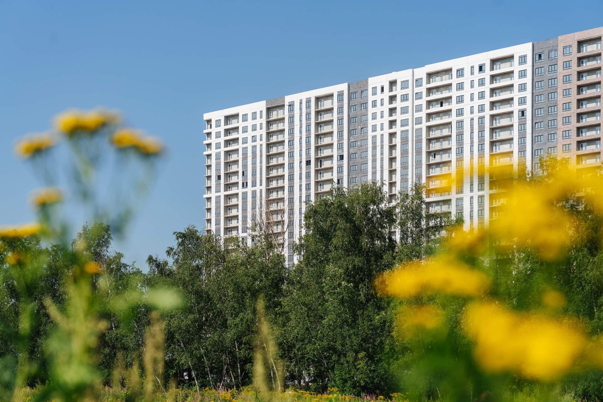 Фото: Прямая продажа от застройщика test