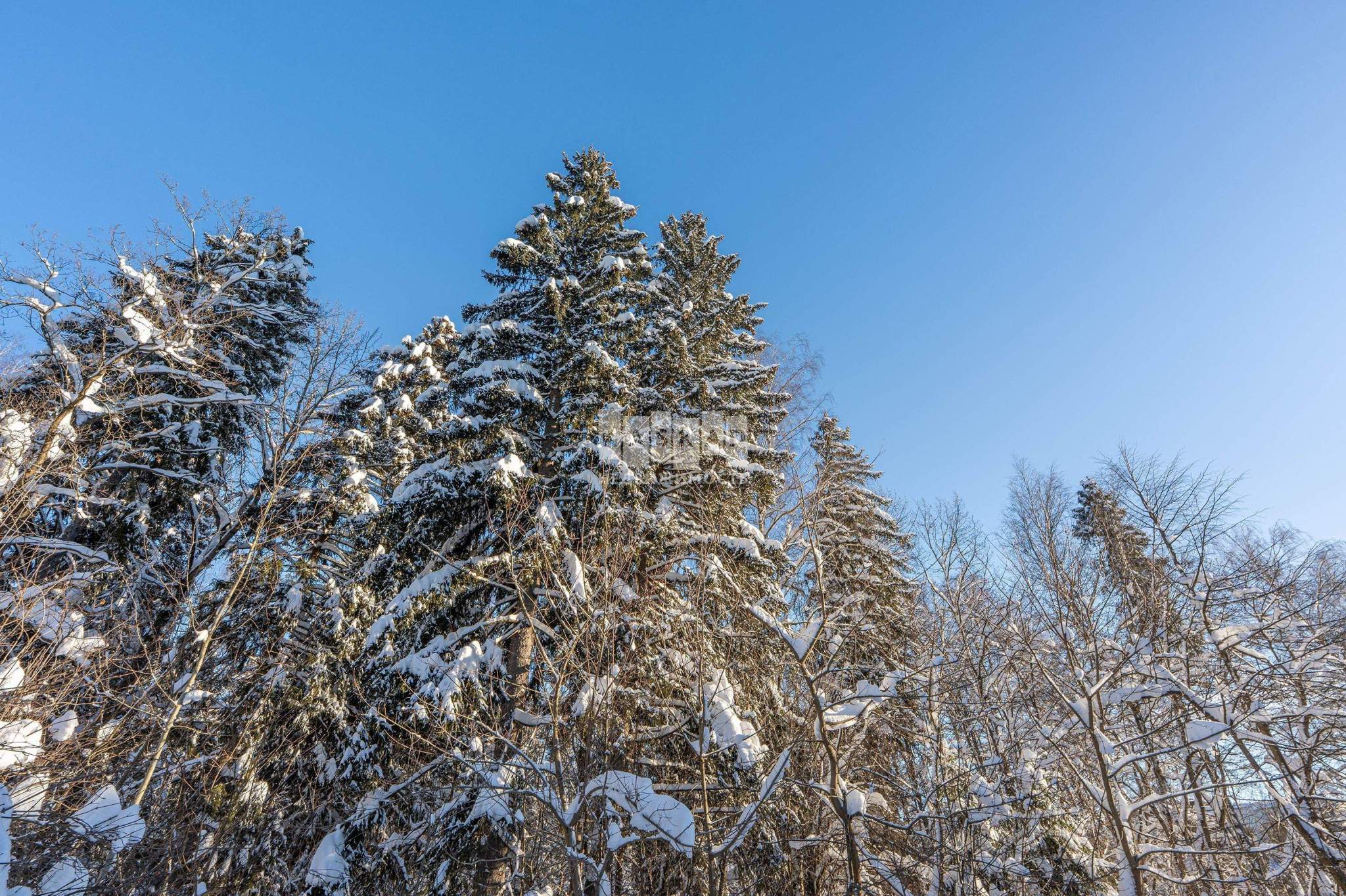 Участок на продажу в Химках, Речная улица фото №15