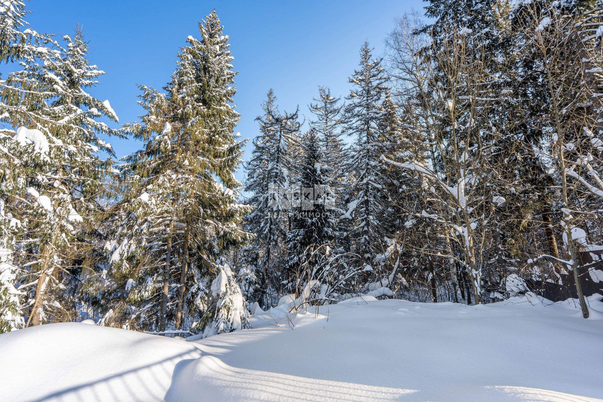 Участок на продажу в Химках, Речная улица фото №15