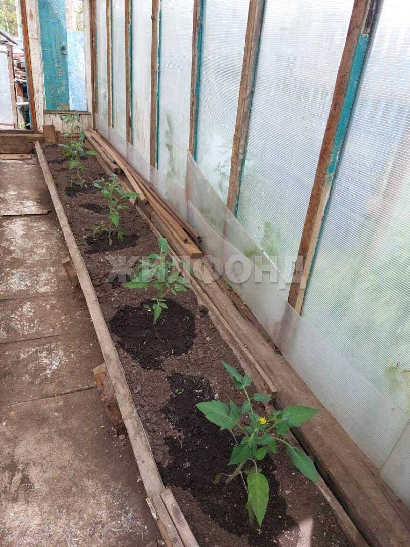Продам земельный участок 600 м.кв.