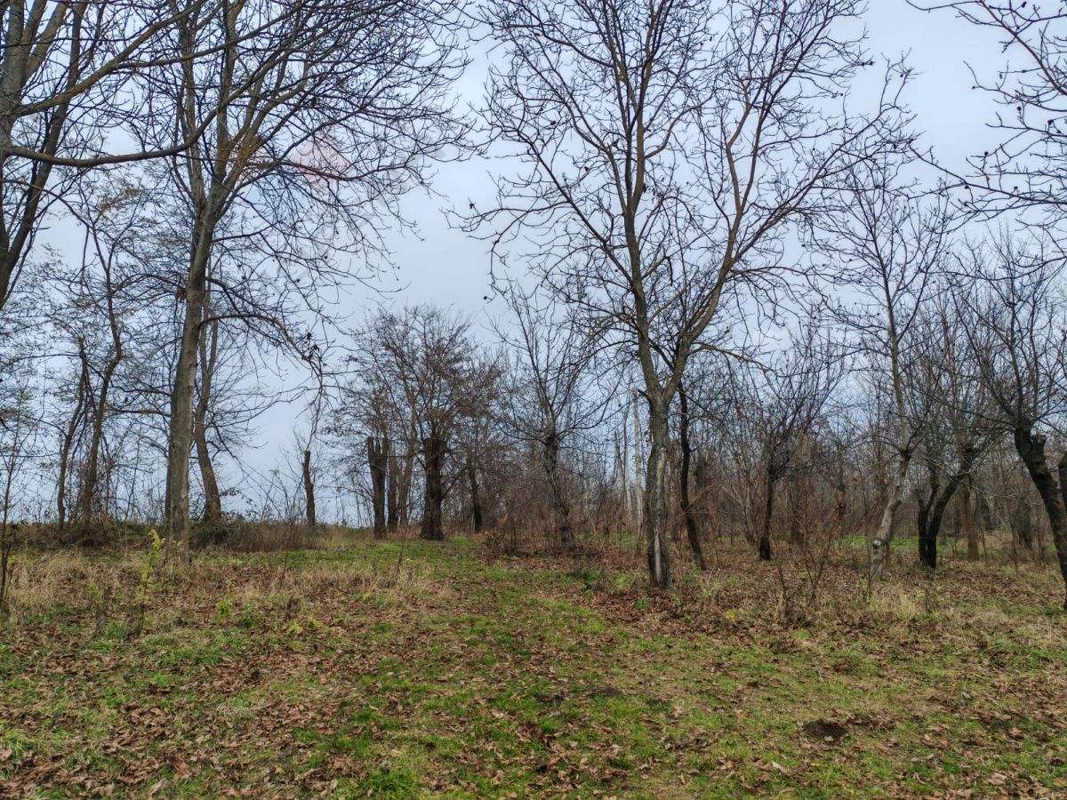 Продам земельный участок 67 м.кв.