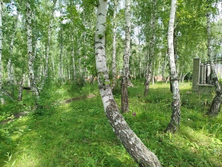 Продам земельный участок 825 м.кв.