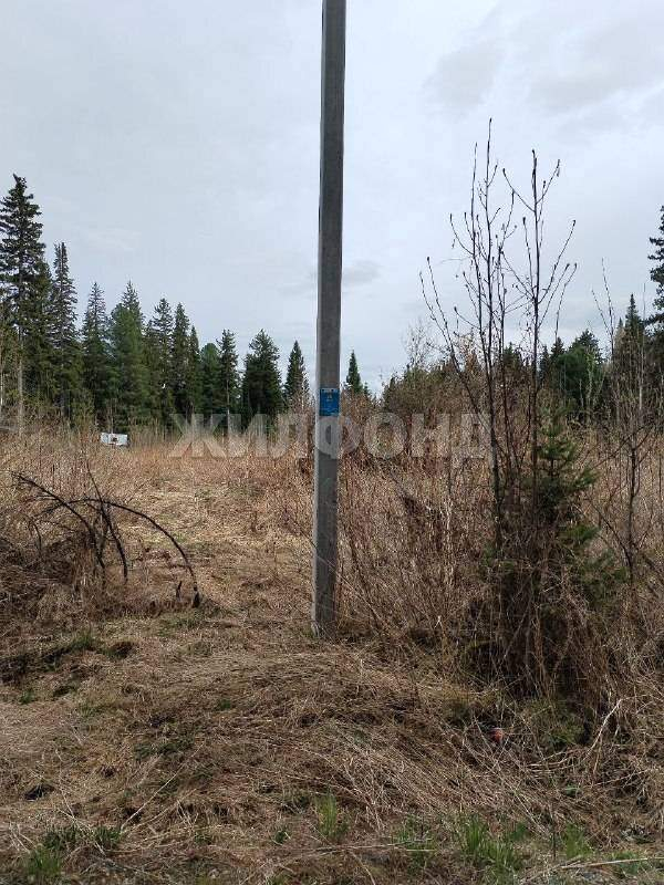 Участок на продажу в деревнесадоводческое товарищество Энергетик (сдт Энергетик ( Казанка) тер), Солнечная ул. фото №7