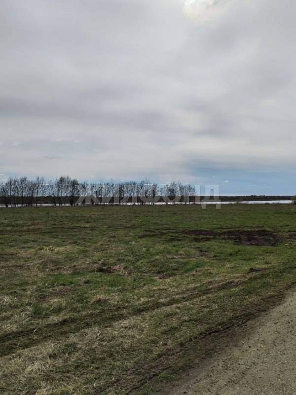 Участок на продажу в деревнесадоводческое товарищество Энергетик (сдт Энергетик ( Казанка) тер), Солнечная ул. фото №1