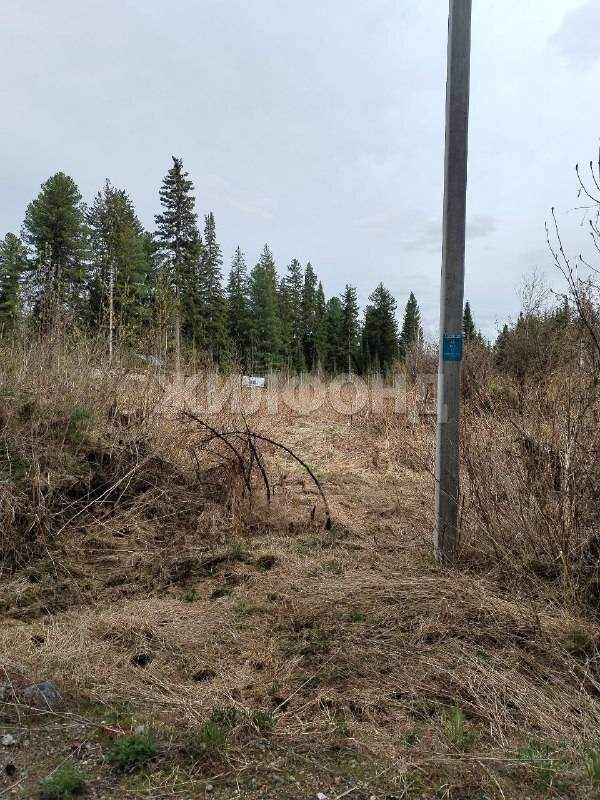 Участок на продажу в деревнесадоводческое товарищество Энергетик (сдт Энергетик ( Казанка) тер), Солнечная ул. фото №4