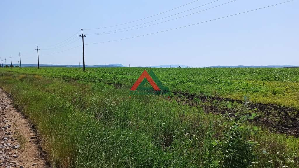 Продам земельный участок 48000 м.кв.