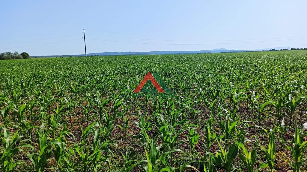 Продам земельный участок 32000 м.кв.