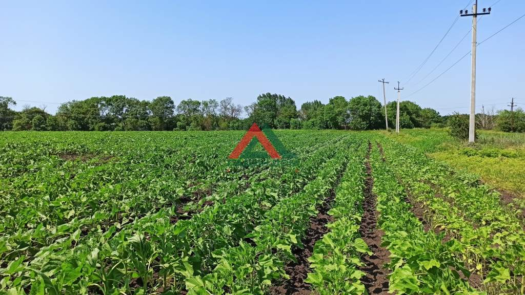 Продам земельный участок 48000 м.кв.