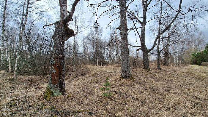 Продам земельный участок 170958 м.кв.