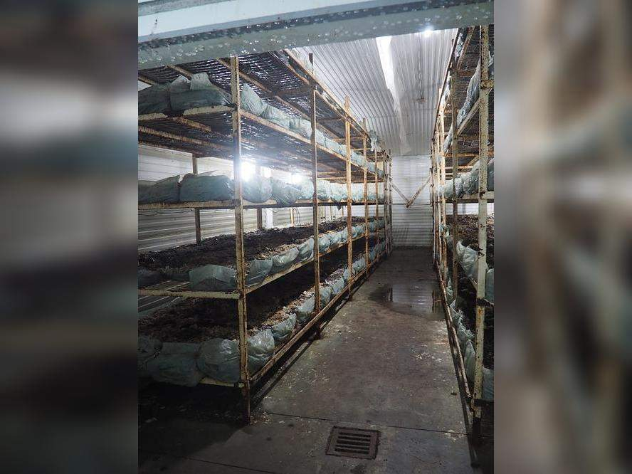 Склад на продажу в селе Ильино-Поляна, 1 фото №5