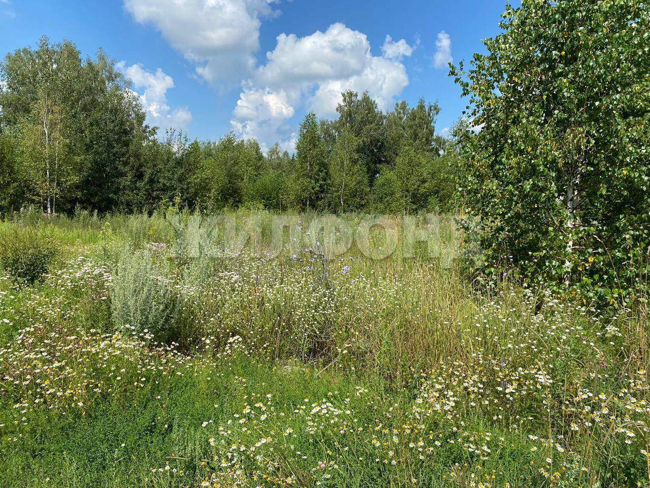 Продам земельный участок 1000 м.кв.