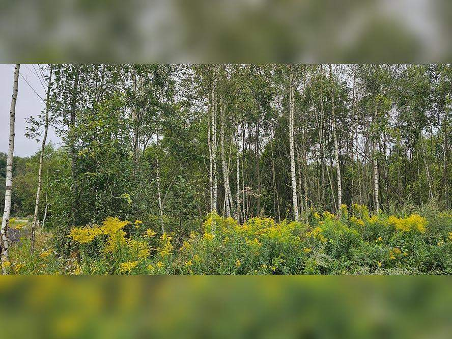 Продам земельный участок 786 м.кв.