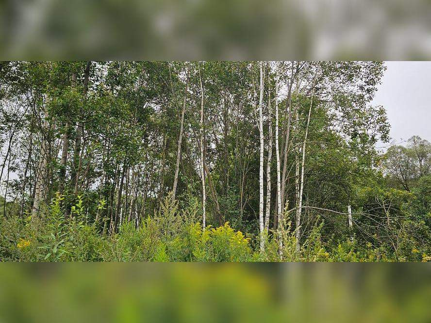 Продам земельный участок 786 м.кв.